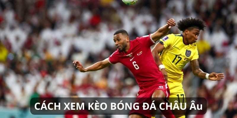 Thông tin tổng quan giới thiệu về kèo Châu Âu
