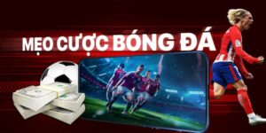 Bí Quyết Chọn Kèo Cá Độ Bóng Đá Tại cacuocbongda