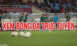 Cách nhận Link bóng đá mới nhất