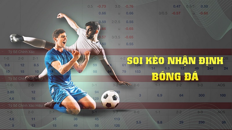 Thông tin nhận định về bóng đá nhanh chóng