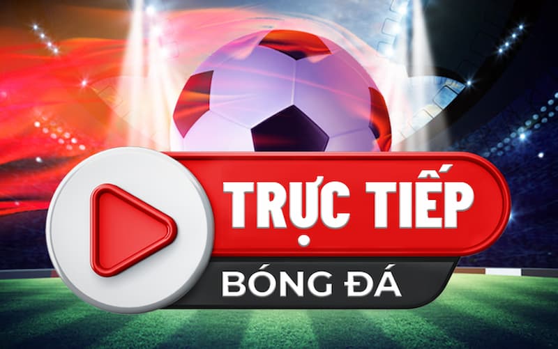 Khái quát cơ bản về trang web trực tiếp bóng đá