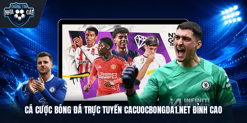 Cá Cược Bóng Đá Trực Tuyến Cacuocbongda1.Net